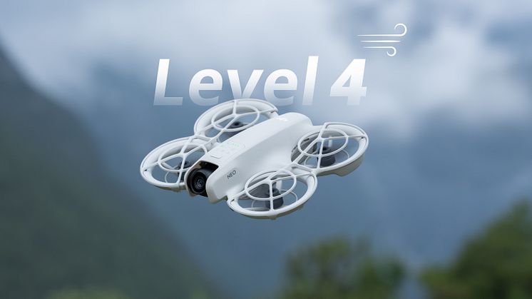 Level-4 Wind Resistance.jpg