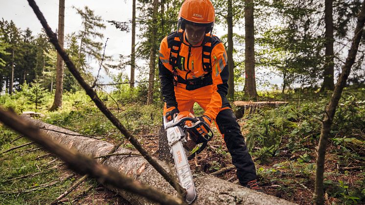 STIHL_hero.jpg