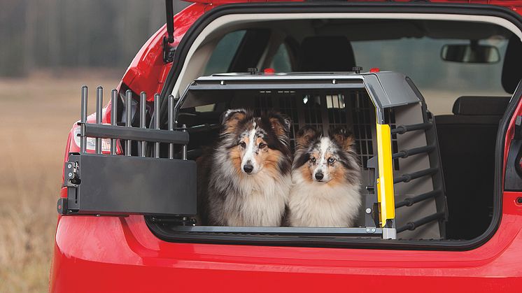 KGK inleder samarbete med MIMsafe – utökar sortimentet med krocktestade hundburar och tillbehör