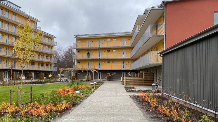 Bostäderna har byggts för miltärer under utbildning. Foto: Hansson Hus Entreprenad AB