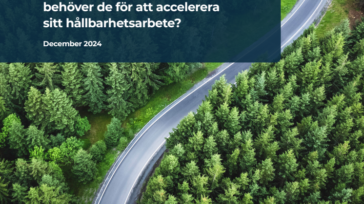 Rapport_Företagen i södra Sverige ställer om_Final.pdf