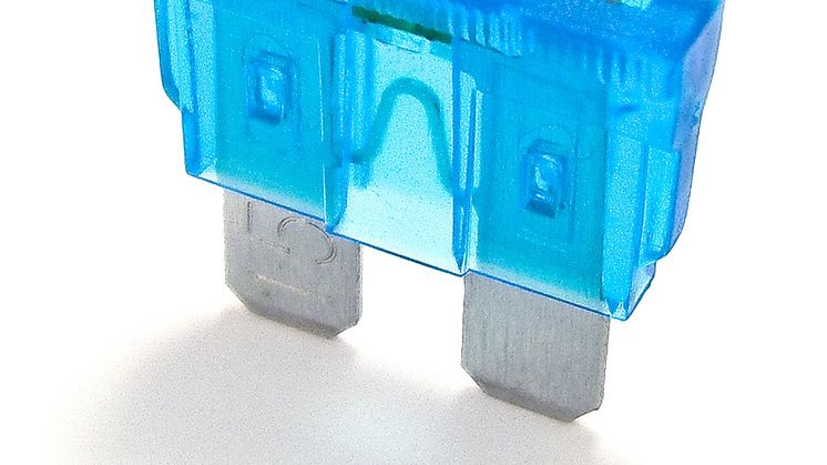ShoBlo blue