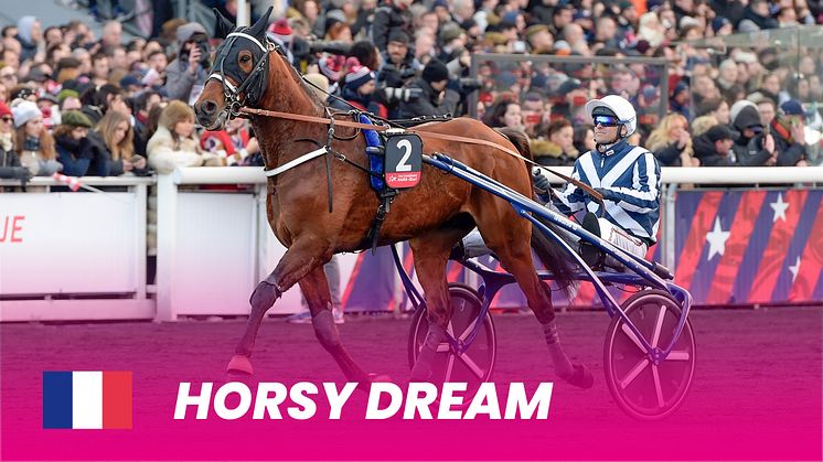 Horsydream_1920X1080.jpg