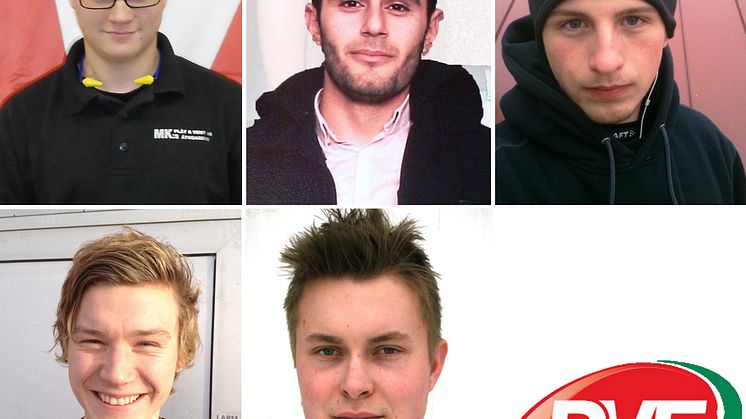 Det här är finalisterna i ”SM för unga plåtslagare 2012”!