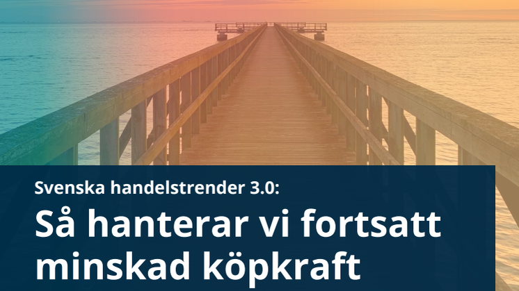 Svenska-handelstrender_NetOnNet_5juli2024.pdf