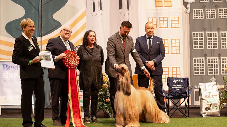Best In Show Foto Jenny Jurnelius.jpg