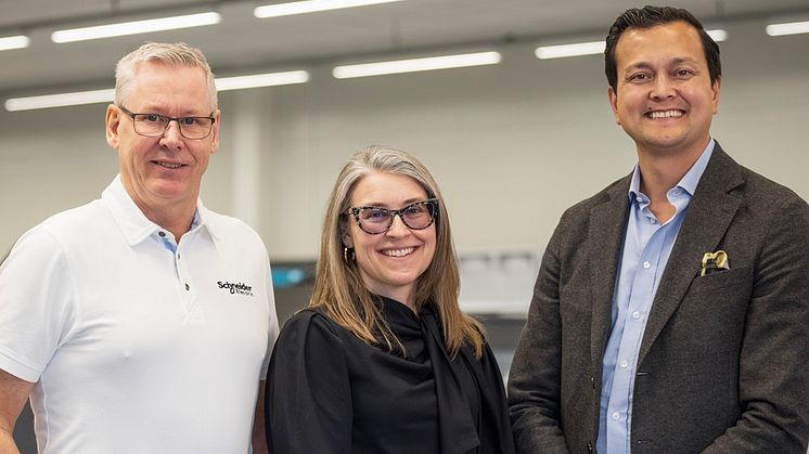 ThomasAndersson_prodch_Schneider&CarolineCaesar_MsupportBelysn_ChristianAlbinsson-Godlund_strat_avt_ansv_ES.jpg