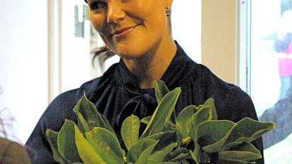 Kronprinsessan Victoria och prins Daniel besöker Drömmarnas Hus
