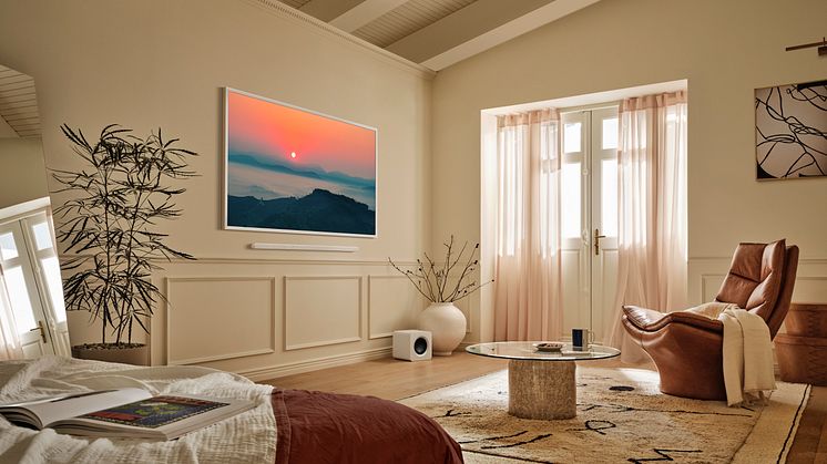 2025 The Frame Pro_LSI_04-c.jpg