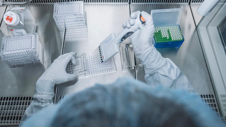 Anocca staff preparing samples