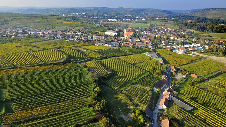 Schloss Gobelsburg_Gaisberg.jpg