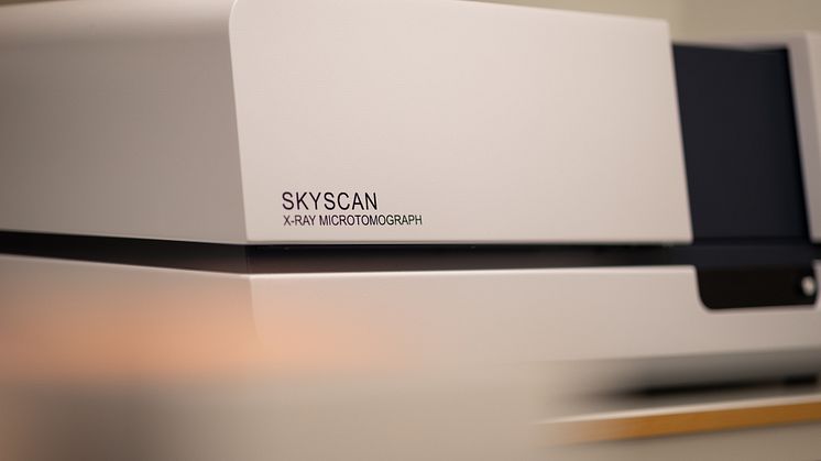 Skyscan 1275.jpg