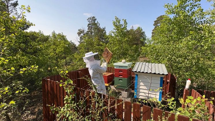 Botkyrkabyggens bigård på Hålvägen i Storvreten.jpg