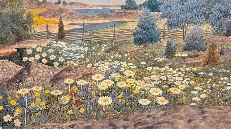 Oskar Bergman Blommor i skären.png