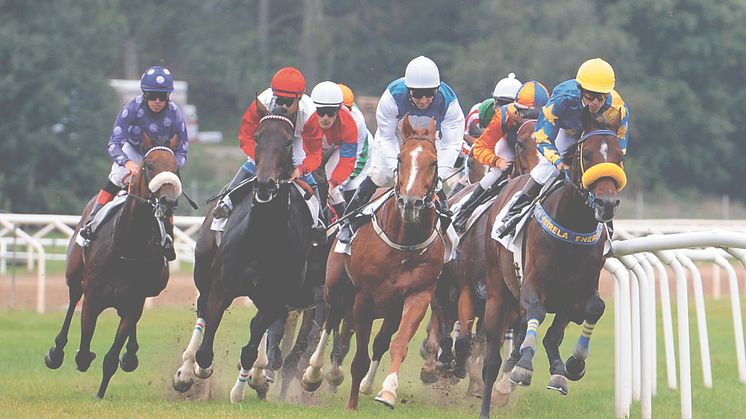Dags för storlopp på Täby Galopp