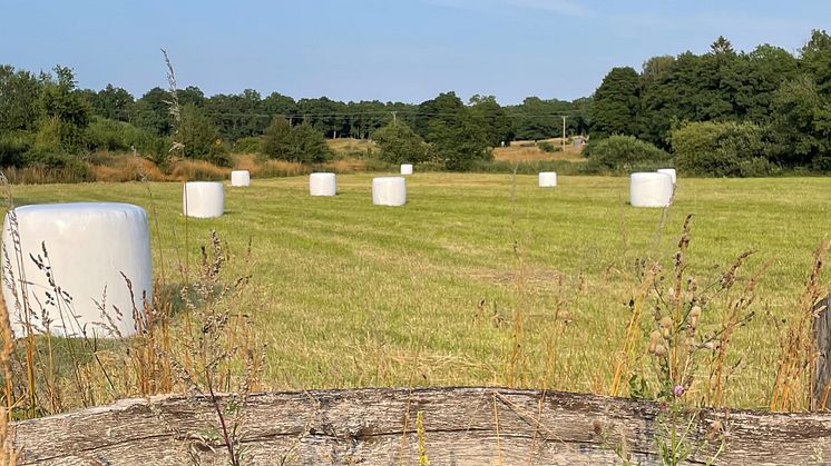 Ensilagebalar.jpg