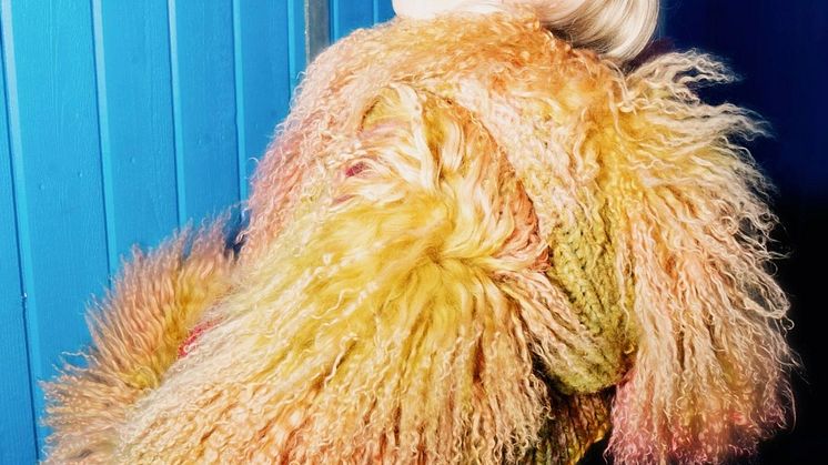 Veronica Maggio kommer till Furuvik