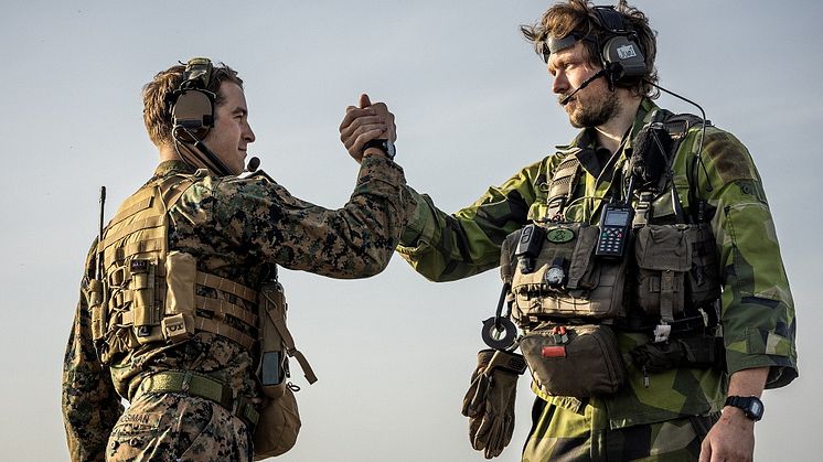 Foto: Antonia Sehlstedt/Försvarsmakten