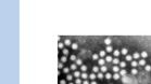 SVU-rapport 2012-06: Norovirus i vatten – En litteraturstudie