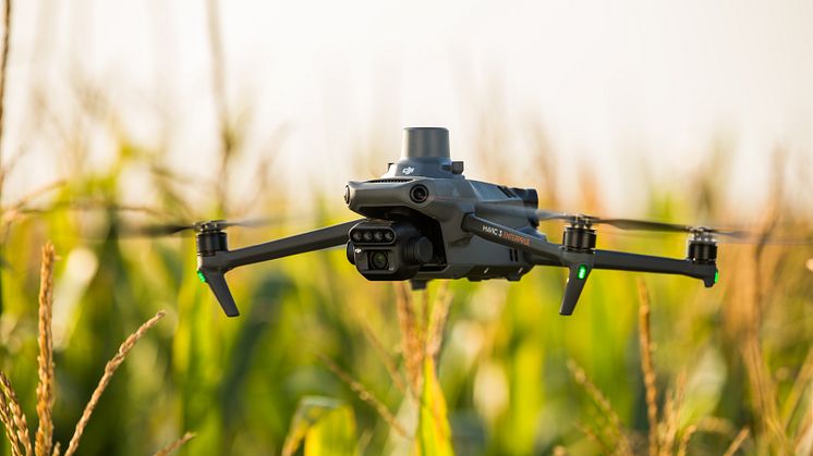 DJI_M3M 6.jpg