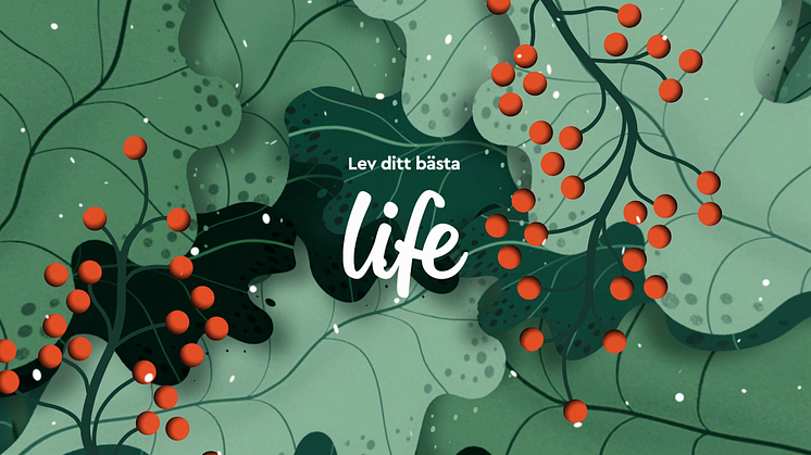 Life_SP2_Winter_16x9_Still_05.png