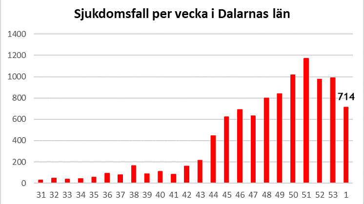 Länsstyrelsen informerar om läget i Dalarnas län 15 januari 2021