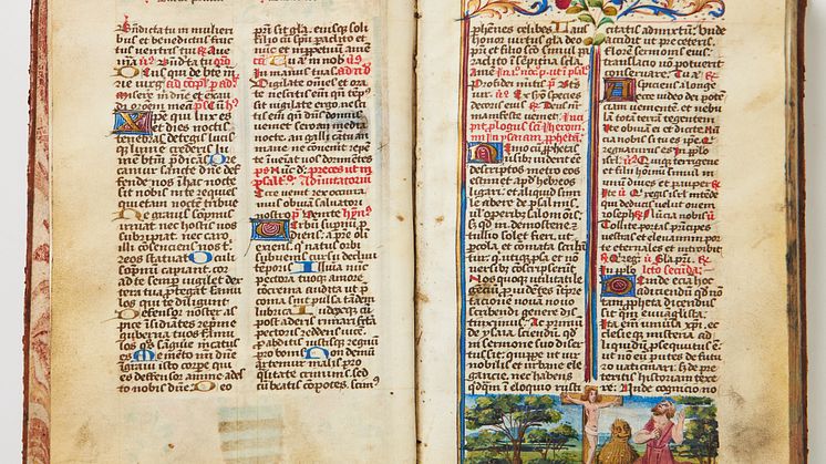 Illuminated manuscript from 16th century