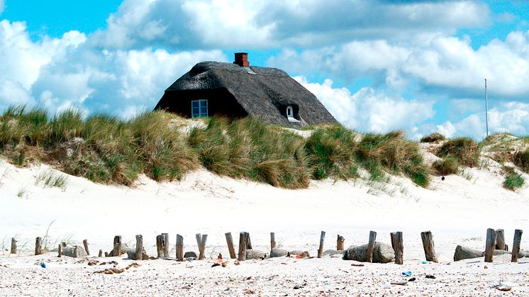 Sommer, Sonne, Skandinavien: mit Scandlines in den Sommerurlaub an die "Dänische Riviera"