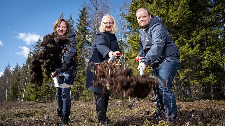 Luleå-Energi-Spadtag-web-9201