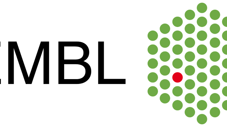 Logo European Molecular Biology Laboratory (EMBL)