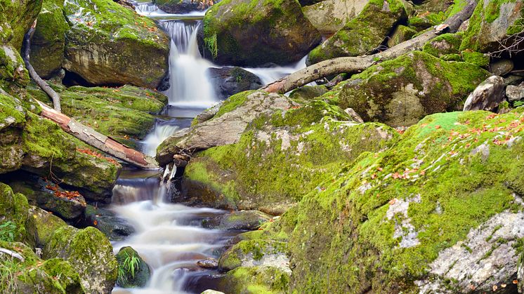 Spiegelau: Stone Gorge in the Bavarian Forest National Park ©  GNTB/Francesco Carovillano