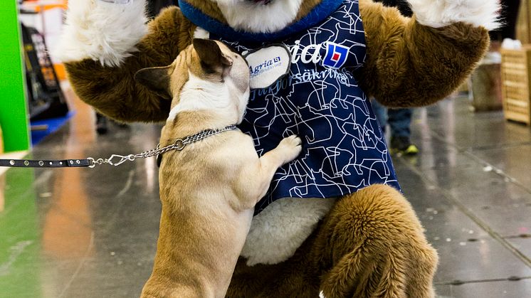 Agria Djurförsäkrings maskot på MyDOG 2014 