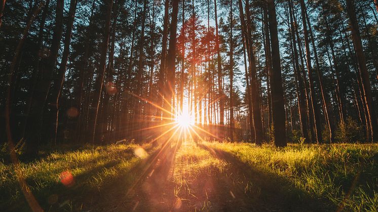 Oslo-Stockholm innebär stora nyttor för klimatet