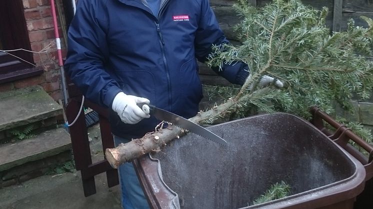 ​Give your Christmas tree a recycled new home