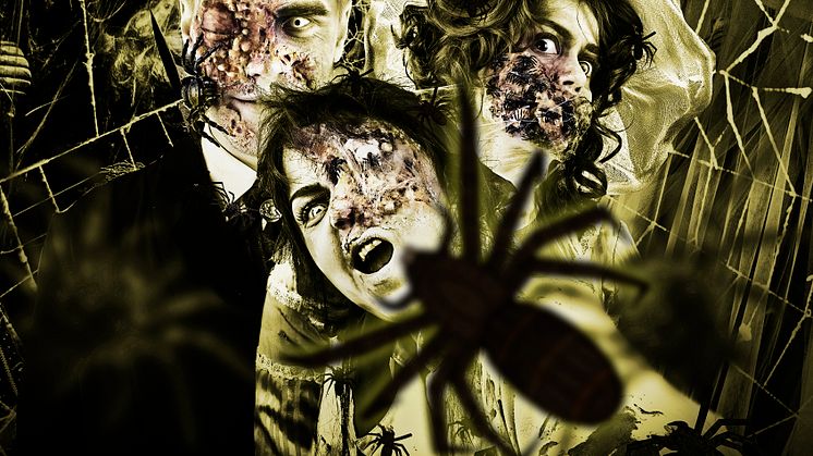 Spider Invasion at the Gasten Ghost Hotel