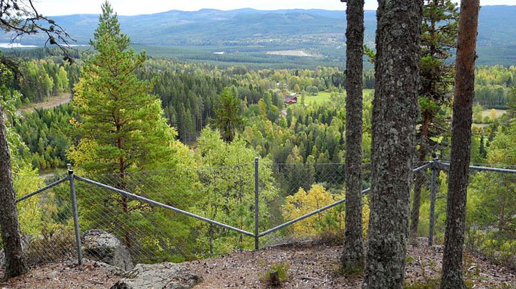 Friluftslivet i Blybergets naturreservat kretsar kring porfyrbrotten och de vackra utsikterna ovanför dessa. Foto: Länsstyrelsen
