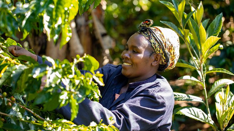 Solceller ska ge ren el till i Rwanda