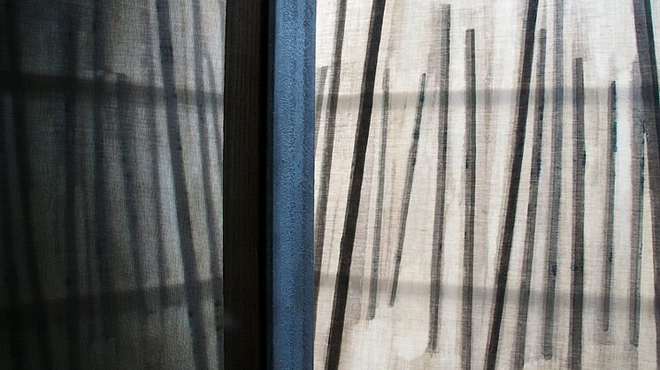 Masterutställning: Disa Rytt
