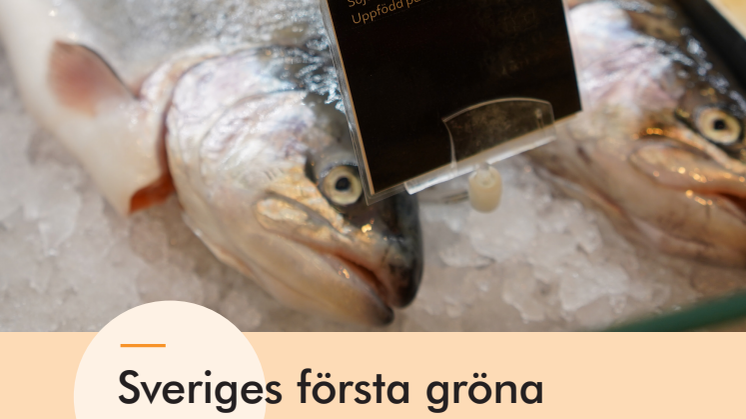 Fem ton grön fisk i disk - resultat slutsatser rekommendationer.pdf