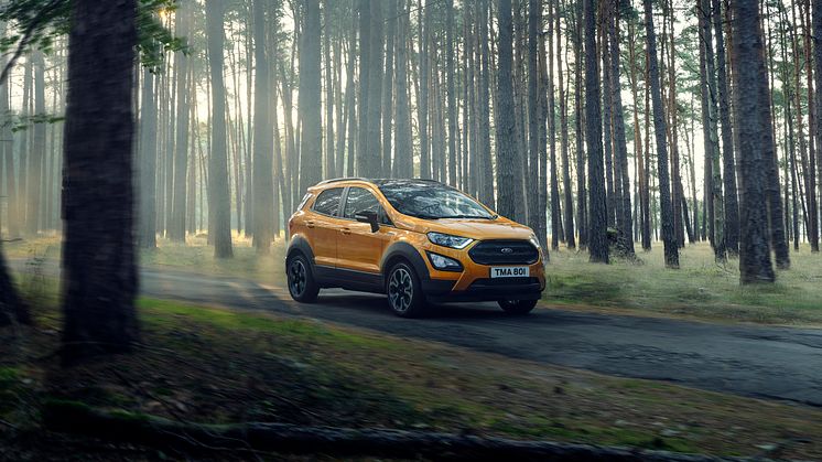 2020_FORD_EcoSport_Active_10