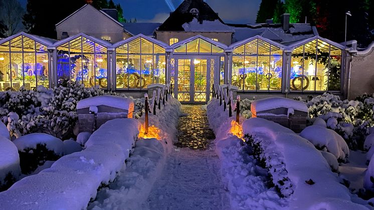 Vinter på Norrviken