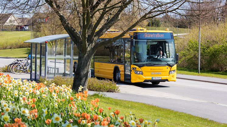 Buss i Skåne (1)