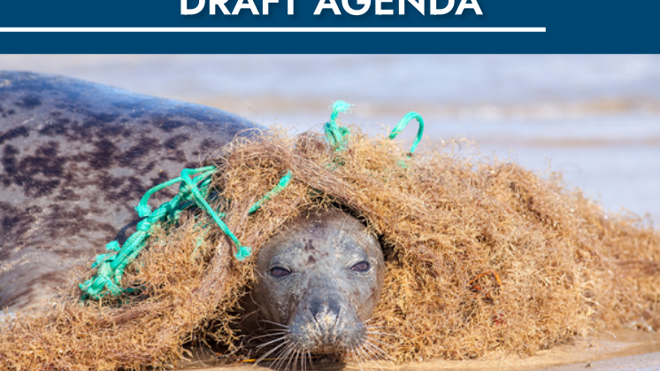 Agenda.pdf