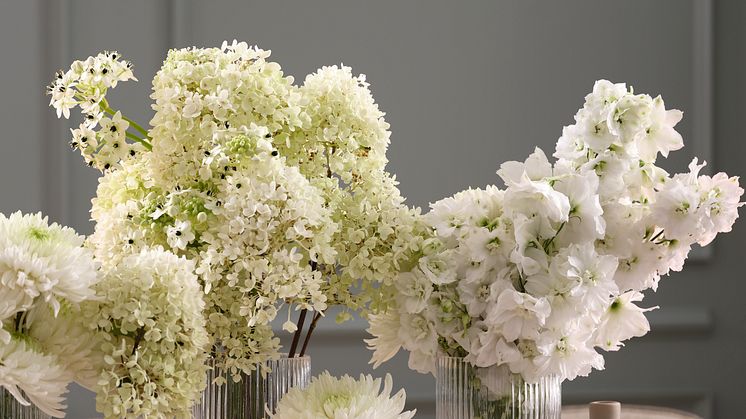 __white__Christmas and newyears table setting JYSK24__.tif