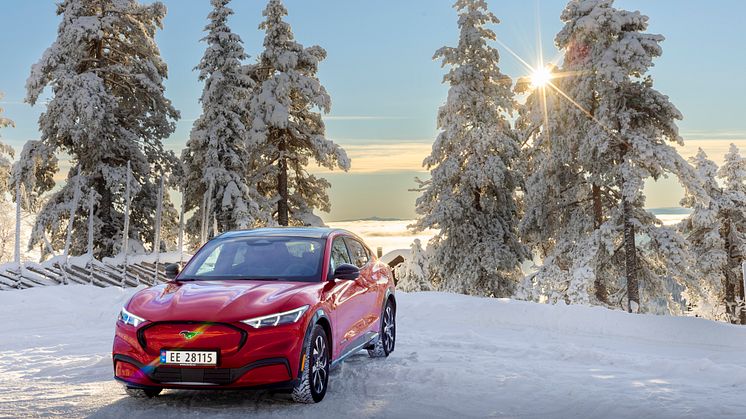 Ford Mustang Mach-E Vinter 2022