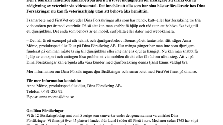 Dina Försäkringar erbjuder hästägare veterinärbesök via videosamtal