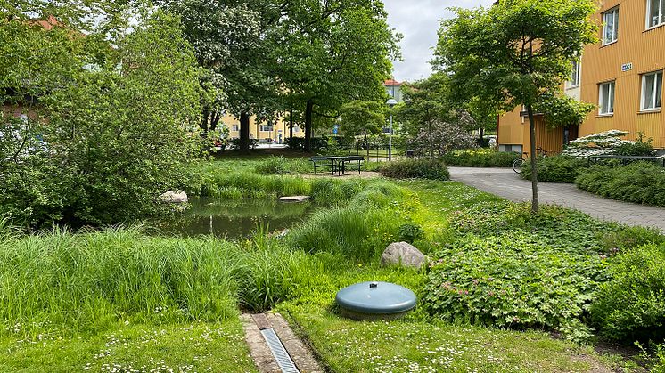 Exempel på klimatanpassning med blågröna lösningar i Augustenborg, Malmö. Fastigheter som tidigare ofta drabbats av översvämningar har förnyats med dräneringssystem inklusive vattenkanaler och fördröjningsdammar. Foto: Johan Holmqvist/IVL