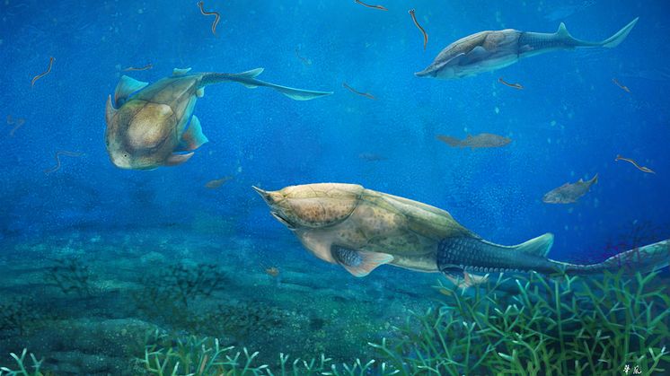Life restoration of Qilinyu 06
