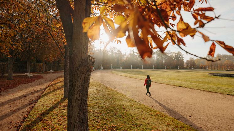 Herbstspaziergang durch Park Sanssouci