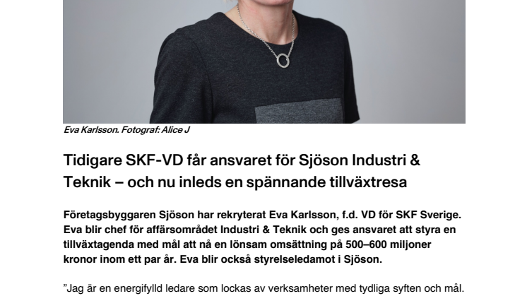 Tidigare SKF-VD får ansvaret för Sjöson Industri & Teknik – och nu inleds en spännande tillväxtresa